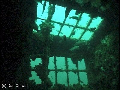Stolt Wreck Diving with OlSalty II, Belmar NJ